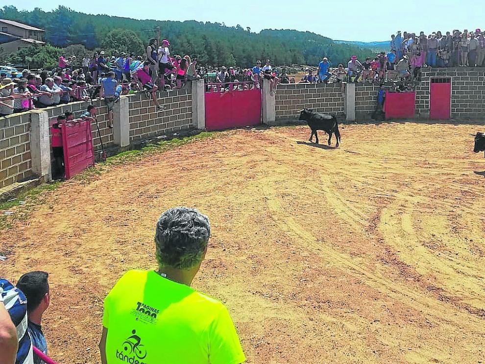 Un momento de la suelta de novillos en la plaza de toros de la localidad de Griegos.