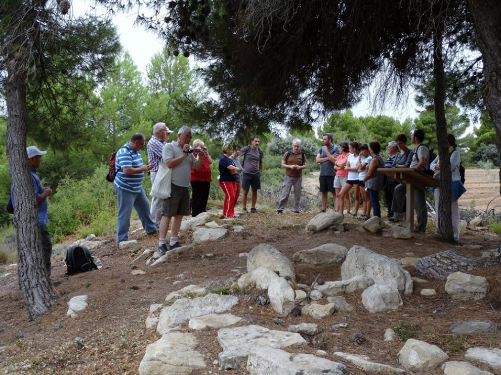 Un grupo de visitantes escucha las explicaciones del guía en el yacimiento de los túmulos de Cretas.