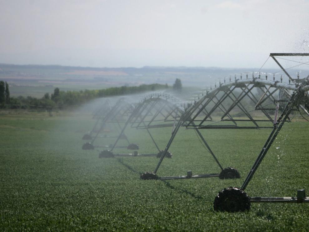 Los efluentes de la agricultura y de las explotaciones ganaderas son el principal foco de contaminación por nitratos.