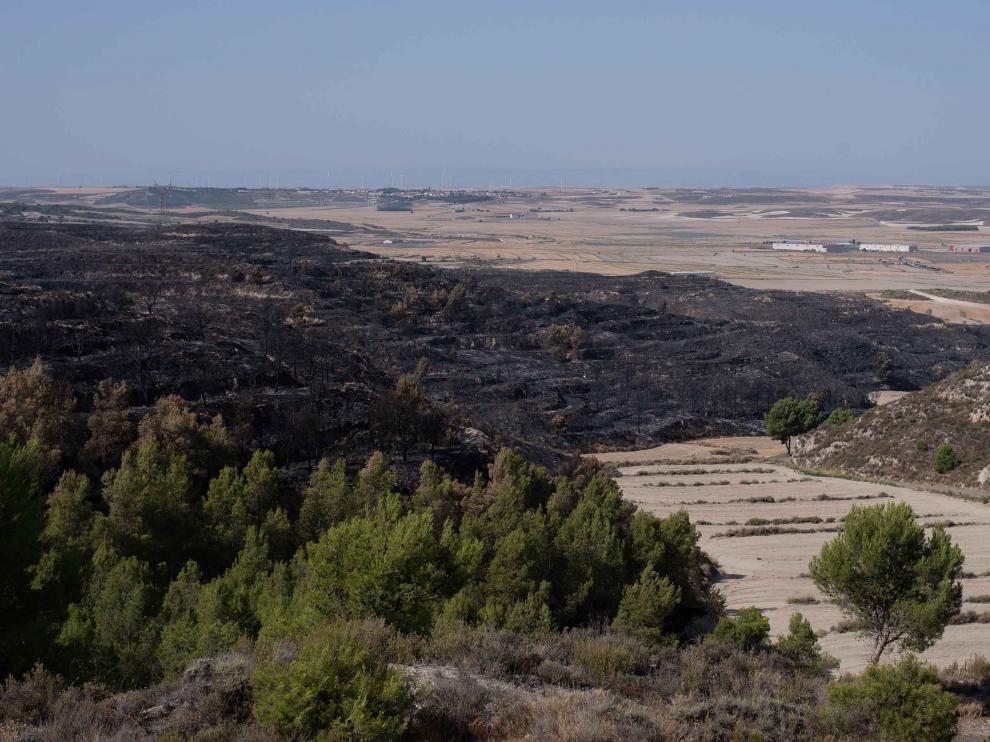 Superficie afectada por el incendio declarado el pasado martes entre Leciñena y Perdiguera.