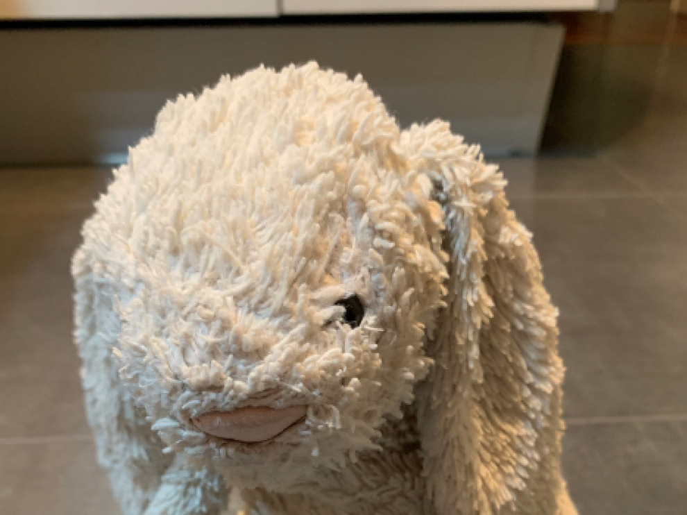 peluche perdido en Zaragoza