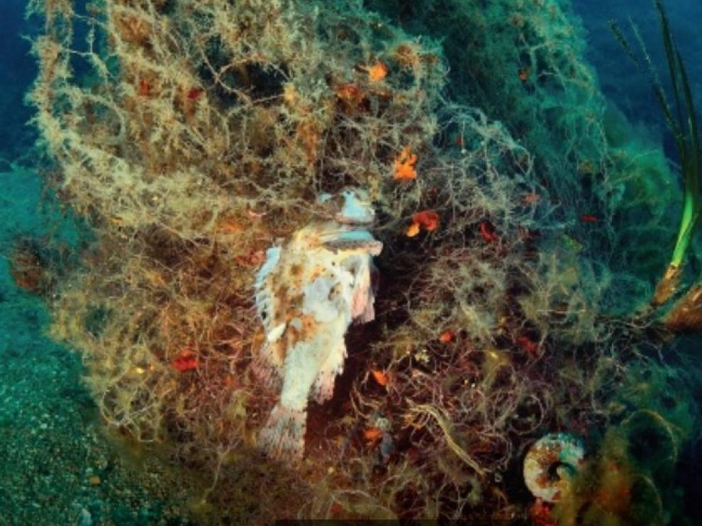 Las redes y otros utensilios de pesca que se abandonan o se pierden en los fondos marinos son una amenaza grave para la vida marina.