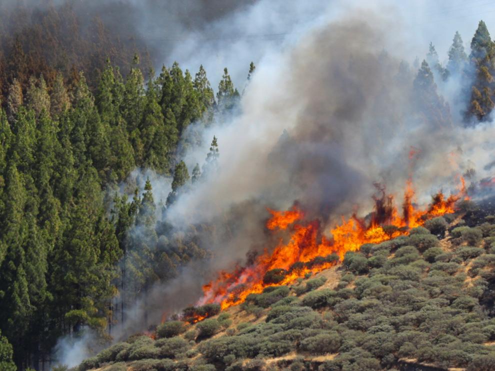 Imagen del incendio de Gran Canaria.