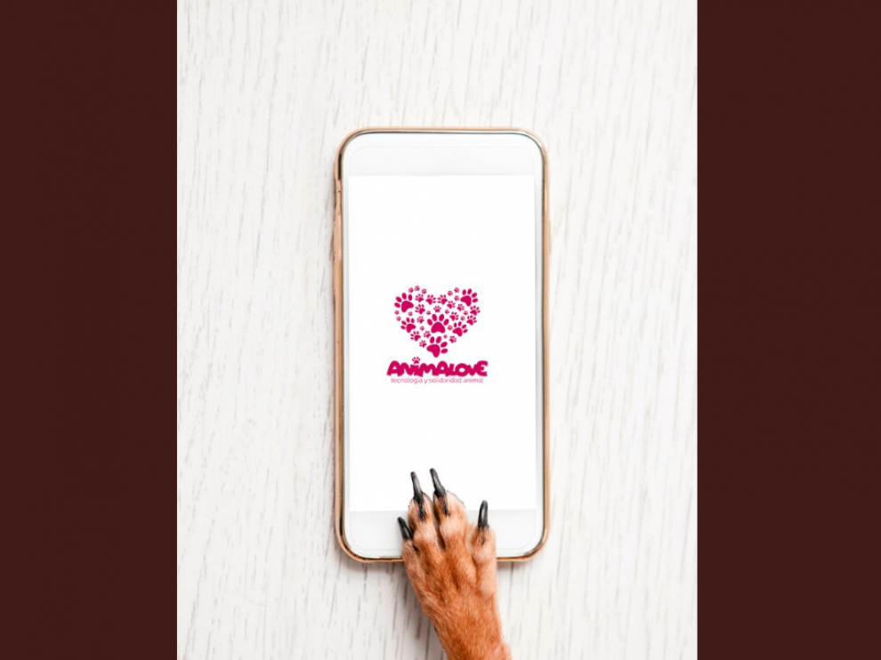 App 'Animalove'.