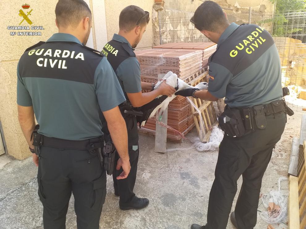 Los agentes han liberado a la cigueña y ha sido trasladada al centro de Recuperación de Animales Silvestres de La Alfranca.