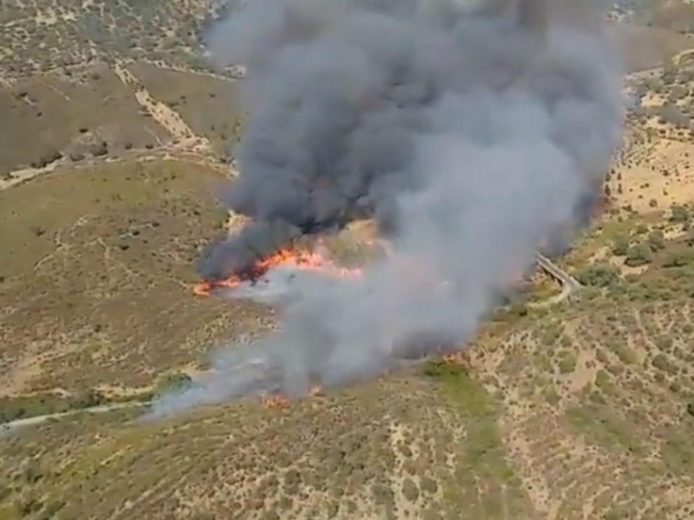 Evacuadas 40 personas por un incendio forestal en El Madroño (Sevilla).