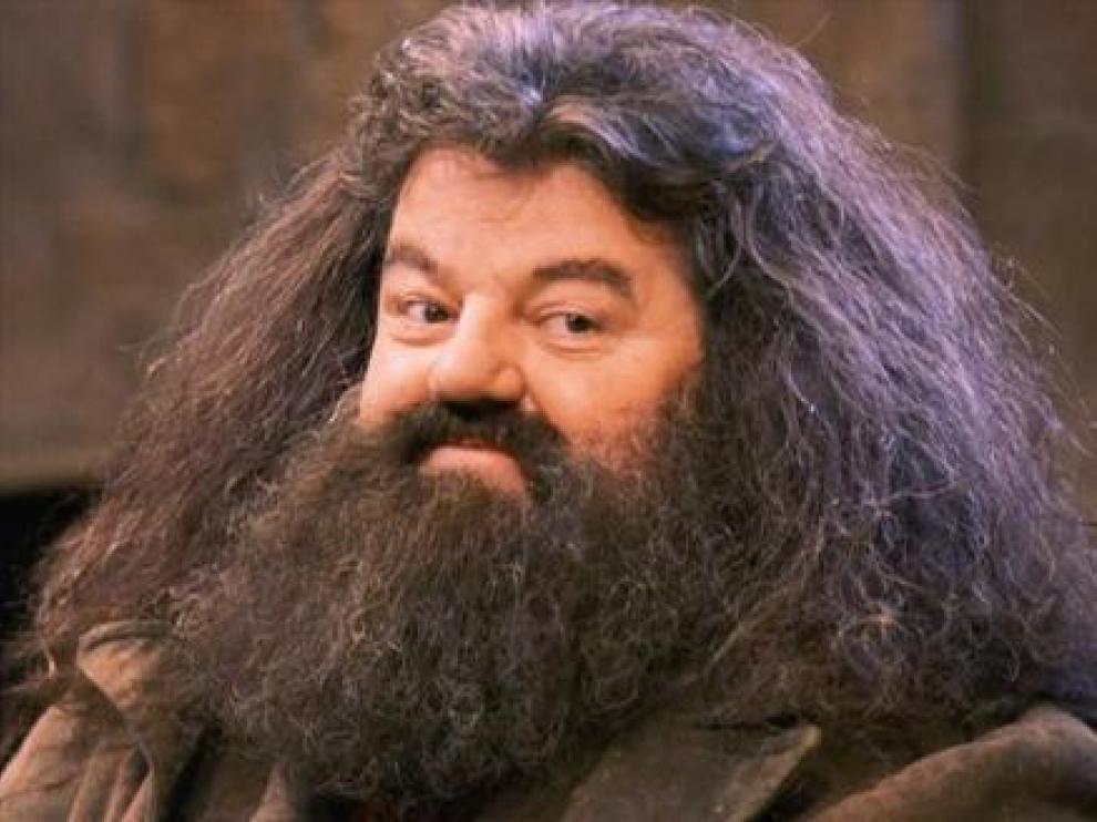 Hagrid en Harry Potter