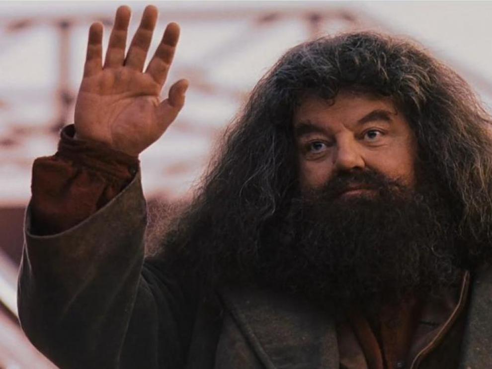 Aunque parecía ser el protector de joven mago, todo apunta a que traicionó a Potter en más de una ocasión.