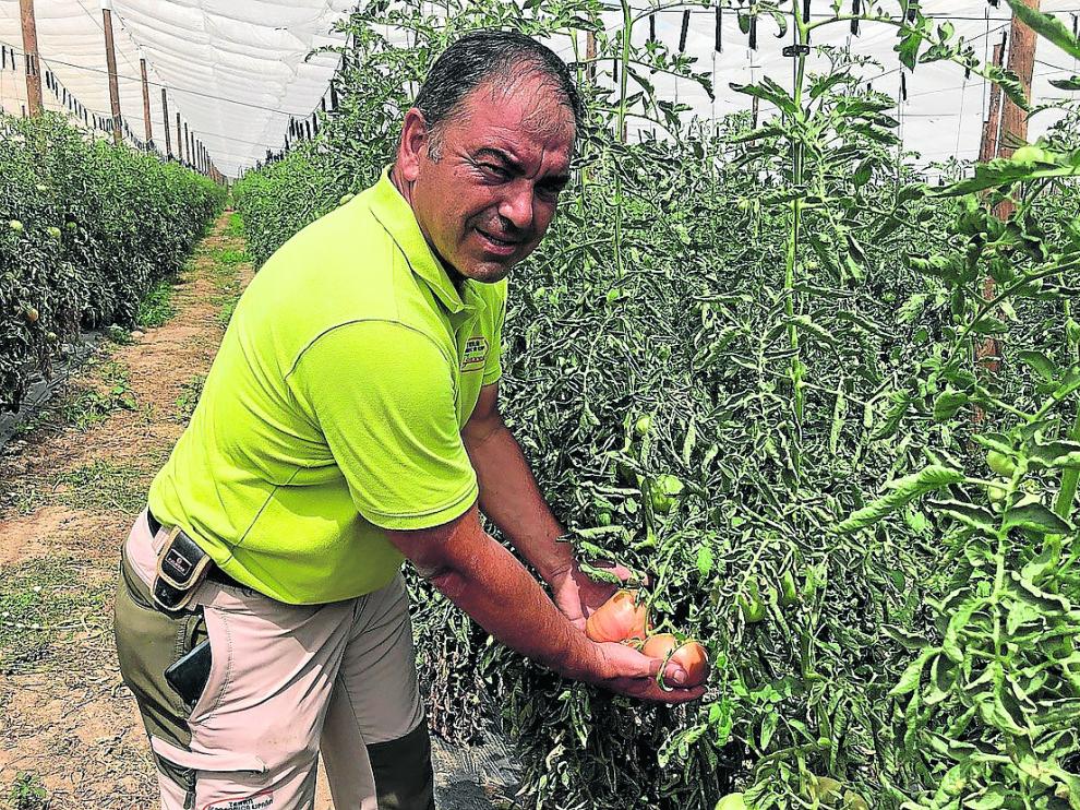 José Antonio Armengol, en la finca que tiene el Grupo Correas en Barbastro.