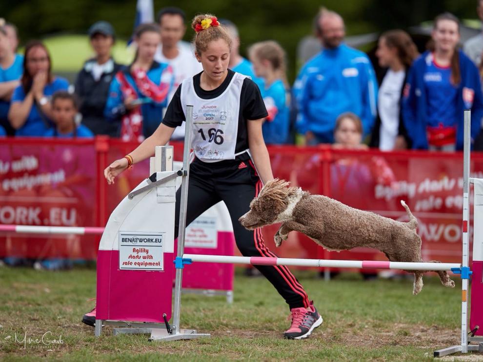 Todas las pruebas serán puntuables para el Campeonato de España 2020 de agility RSCE