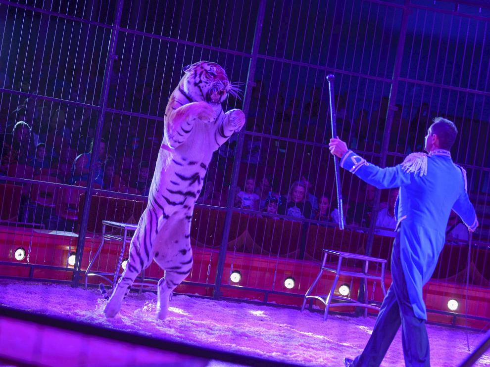 Espectáculo de circo con animales durante las fiestas del Pilar de 2014.