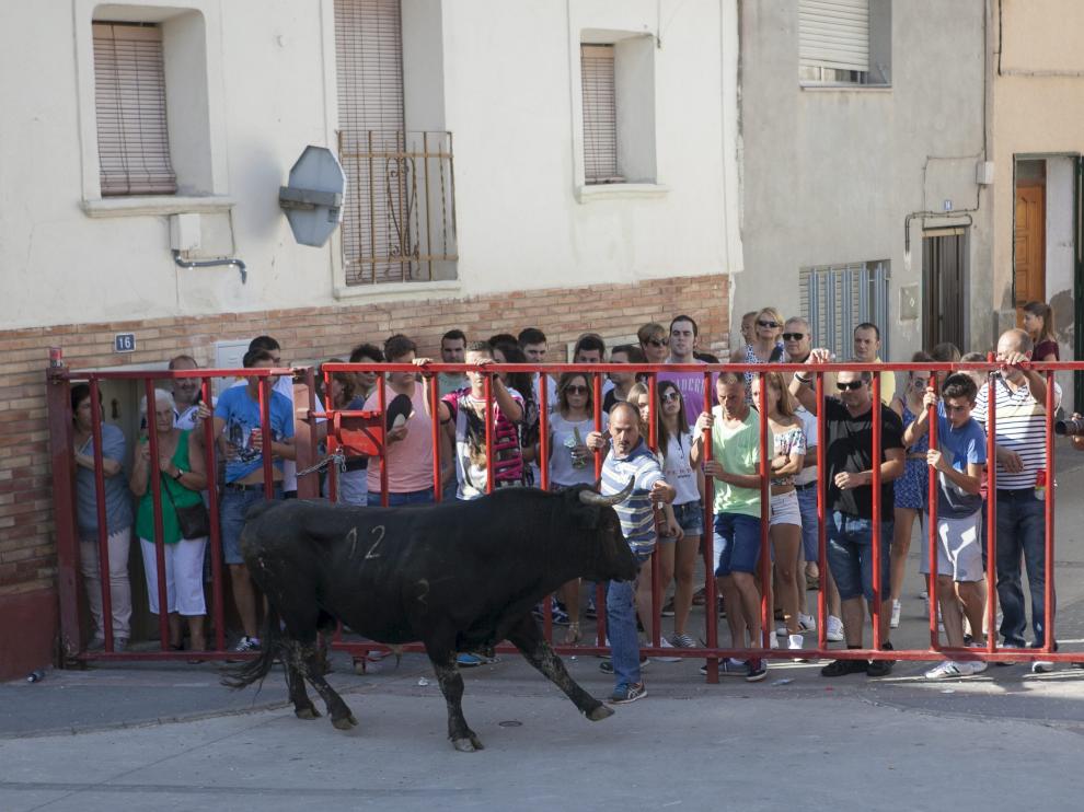 Imagen de archivo de un encierro celebrado por las calles de Mallén.