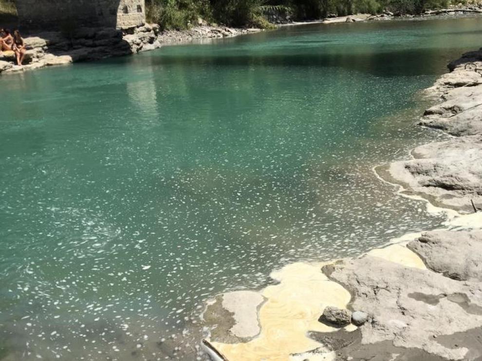 La mala calidad del agua del Ésera se aprecia a simple vista.