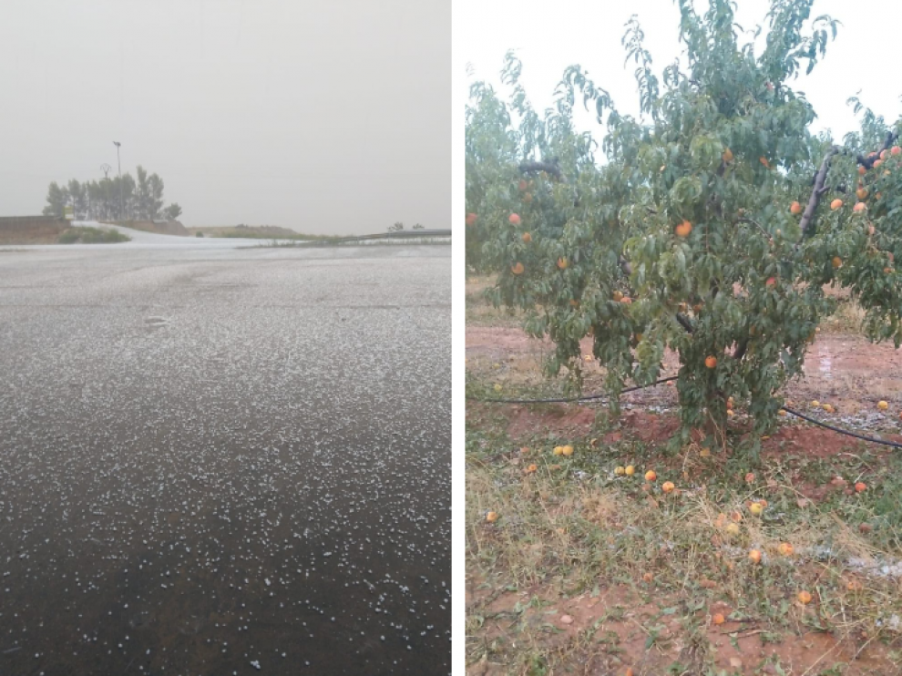 La granizada afectó a los frutales de la zona