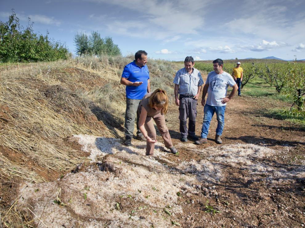 Solo en la localidad del Manubles se han visto afectadas cerca de 1.200 hectáreas de frutal y en la segunda también de secano.