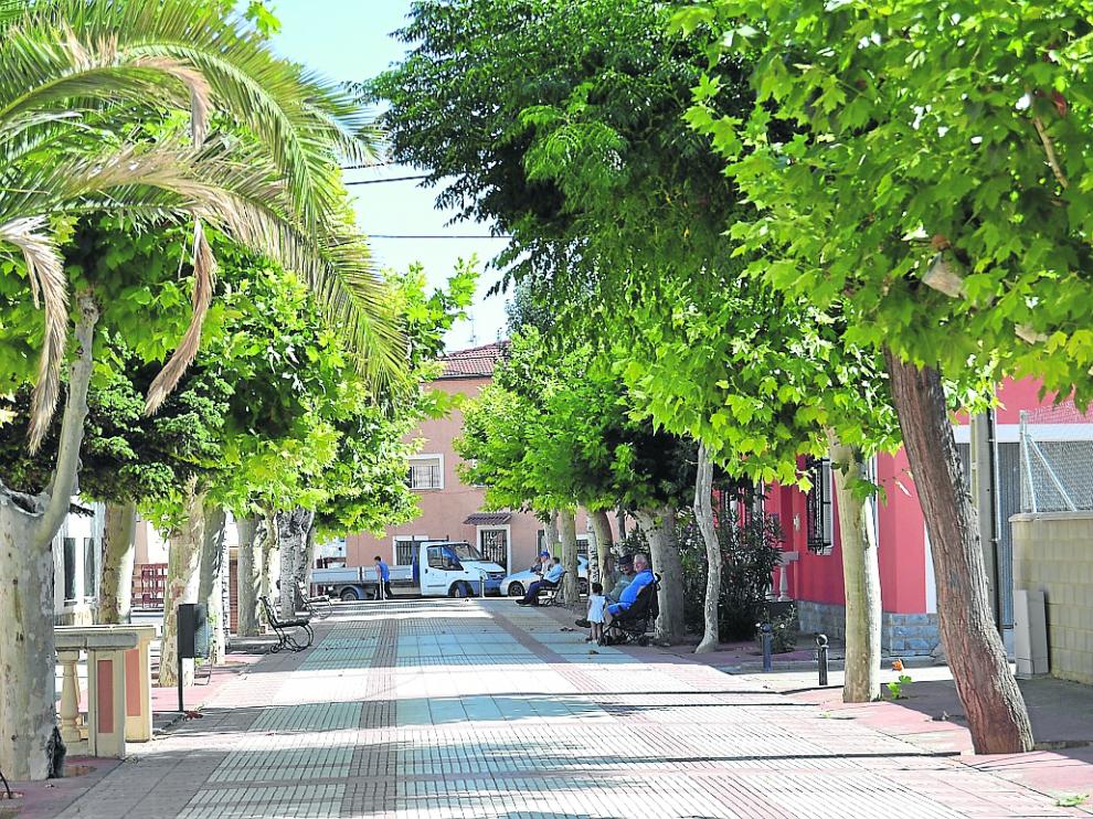 Los plataneros flanquean el paseo del Puy, una de las arterias más frecuentadas de la localidad.
