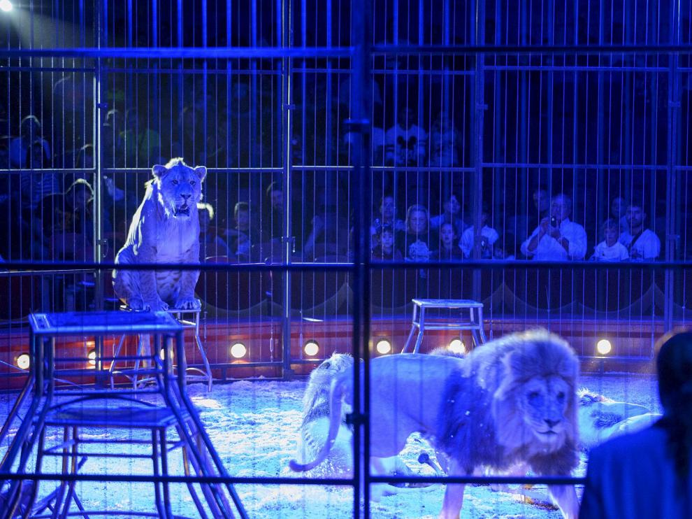 Circo con animales en el Pilar en 2014, último año en el que se permitió este tipo de espectáculos.