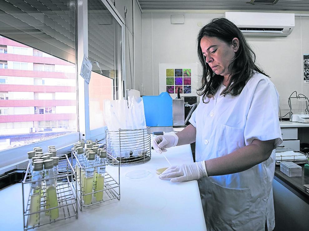 Laboratorios de Salud Pública de Zaragoza, este miércoles,donde se realizan parte de los análisis.
