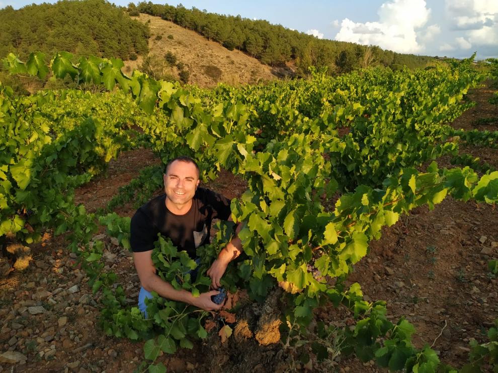 Jorge Barbería, en una viña de cepas viejas de garnacha.