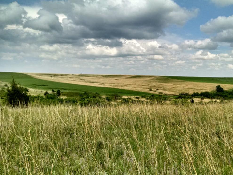 Pradera en la Estación Biológica Konza Prairie en el noreste de Kansas