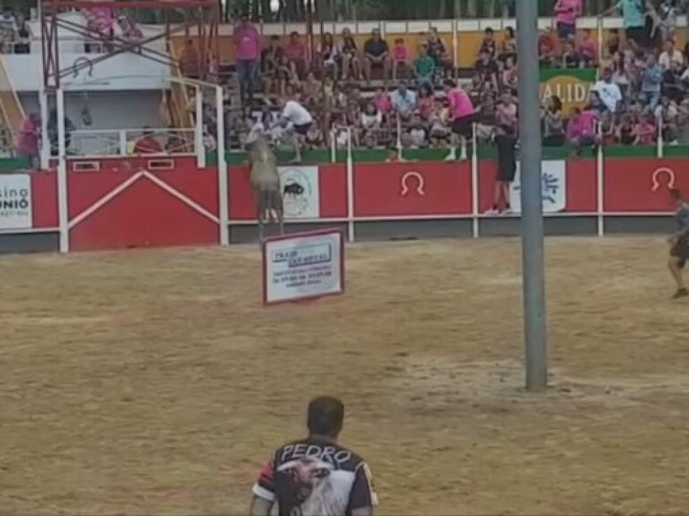 Momento en el que el toro saltó el vallado