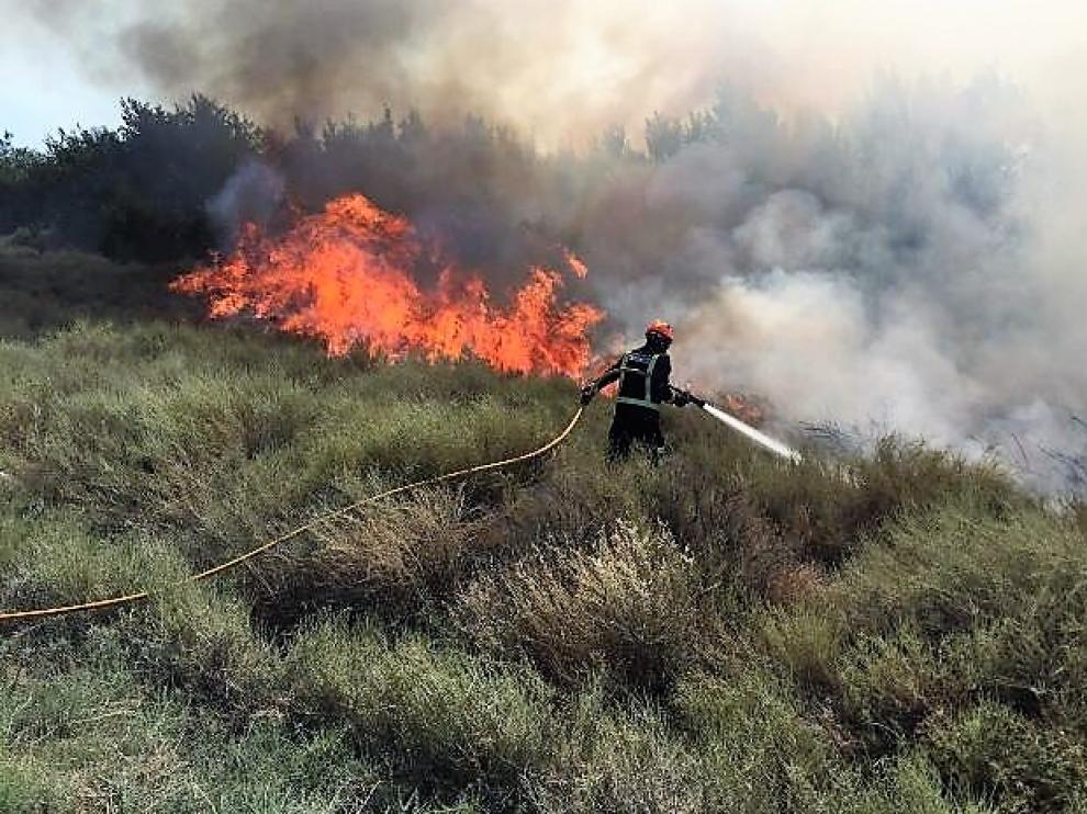 El incendio se ha producido junto a la carretera N-II, en Peñalba.