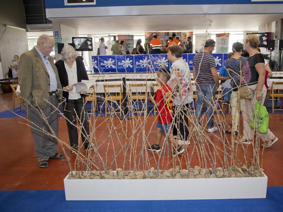 La Feria de Muestras de Calatayud abre sus puertas en las instalaciones del recinto de Claretianos.