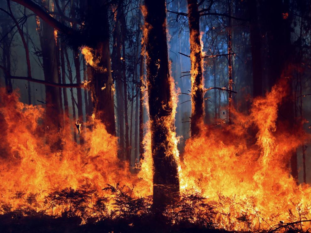 La aldea de A Carballosa, en Porto do Son ha sido afectada hoy por un gran incendio forestal en la que participan en su extinción se encuentran brigadas forestales y la Unidad Militar de emergencias