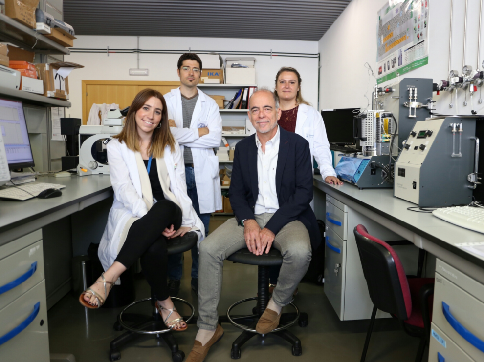 Sentados, María Sancho y Jesús Santamaría. De pie, Víctor Sebastián y Pilar Martín-Duque, en un laboratorio del Instituto de Nanociencia de Aragón.