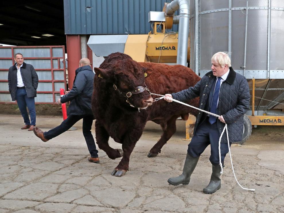 El primer ministro británico, Boris Johnson, de visita en una granja