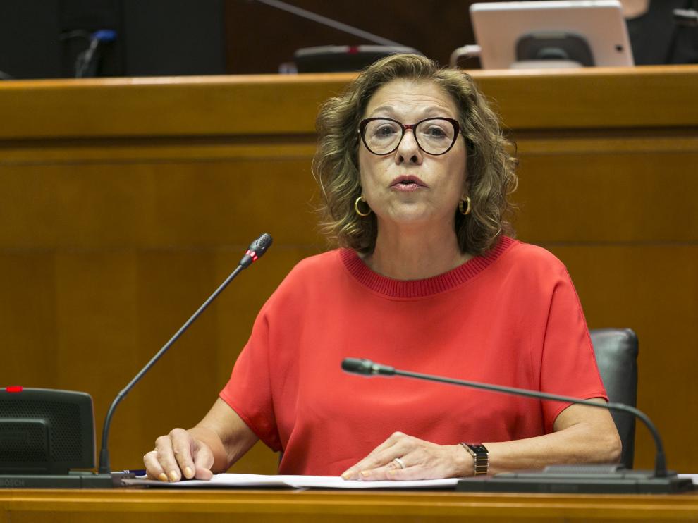 La consejera de Sanidad, Pilar Ventura