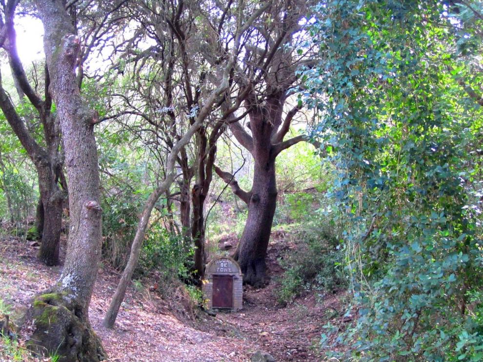Parte del recorrido de la excursión propuesta