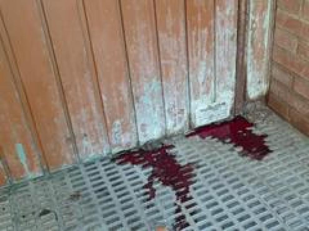 Un hombre ha aparecido muerto y con un cuchillo clavado en el pecho en una calle de Torrero, mientras minutos antes su expareja era localizada en una calle próxima con heridas de arma blanca
