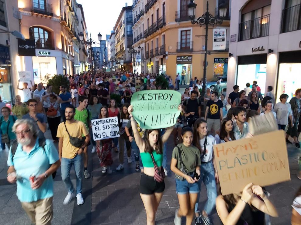 Manifestación en Zaragoza por el cambio climático