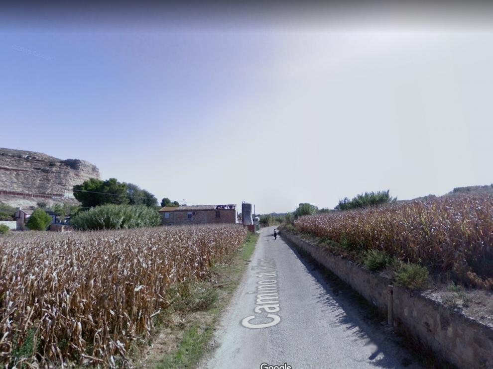 Una imagen del camino de Rimer, en la localidad zaragozana de Caspe, donde ha muerto este jueves una persona arrollada por una máquina agrícola mientras trabajaba en un campo de maíz.