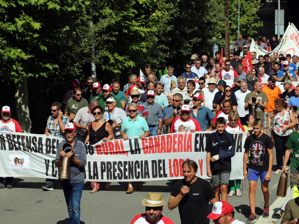 El pasado mes de agosto, una manifestación histórica contra el oso recorrió las calles de Aínsa.