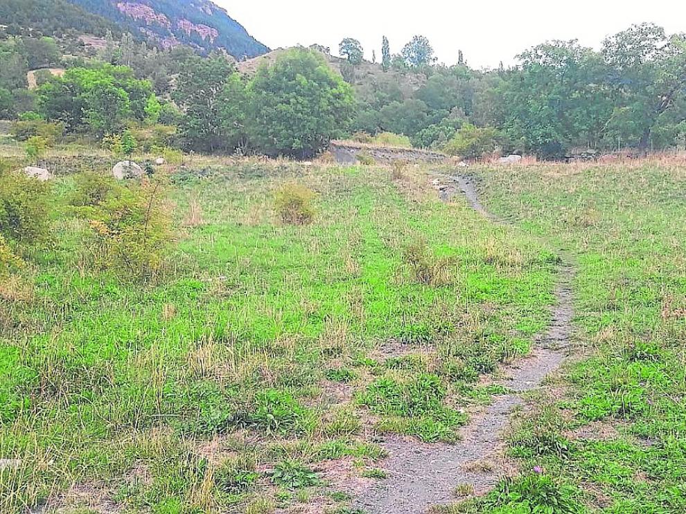 Terrenos de ‘La Solaneta’, donde están las parcelas afectadas.