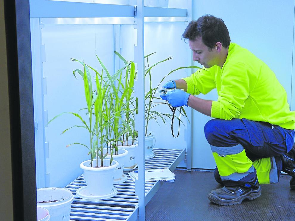 Prueba en laboratorio de Fertinagro de la tecnología para el aprovechamiento del purín como abono.