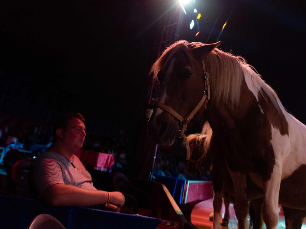 Imágenes de Zoorprendente, el Circo de los Animales, en las Fiestas del Pilar 2019 de Zaragoza