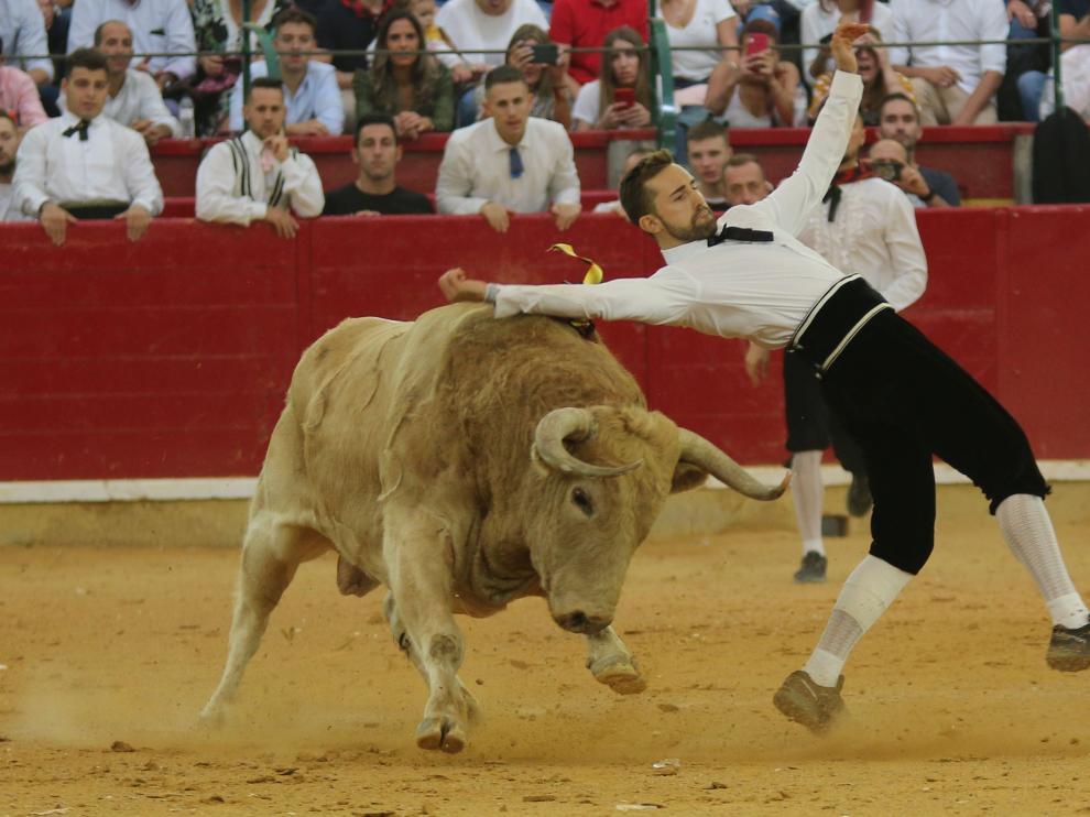 El aragonés César Grasa, otra vez campeón de recorte libre en el Pilar.