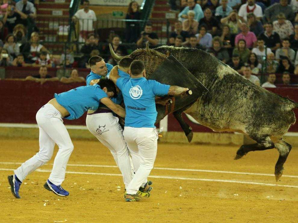 La vaca 22 Lisarda pega fuerte y arriba al cesto de Fuendejalón.