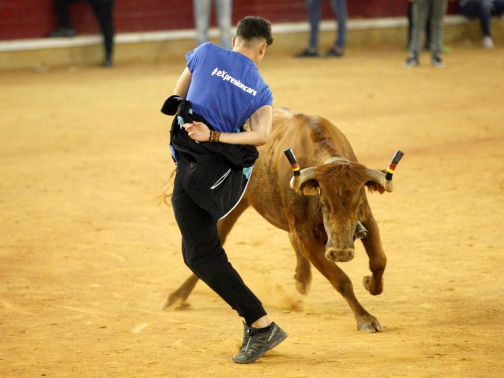 Lleno en la Misericordia para despedir las vaquillas de las fiestas del Pilar 2019.