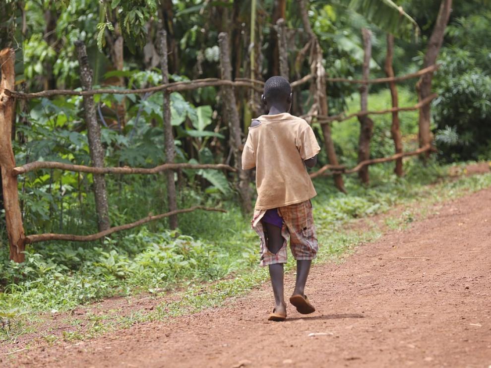 Unicef recuerda que la comida "un derecho fundamental y la base de un desarrollo físico y mental sano"
