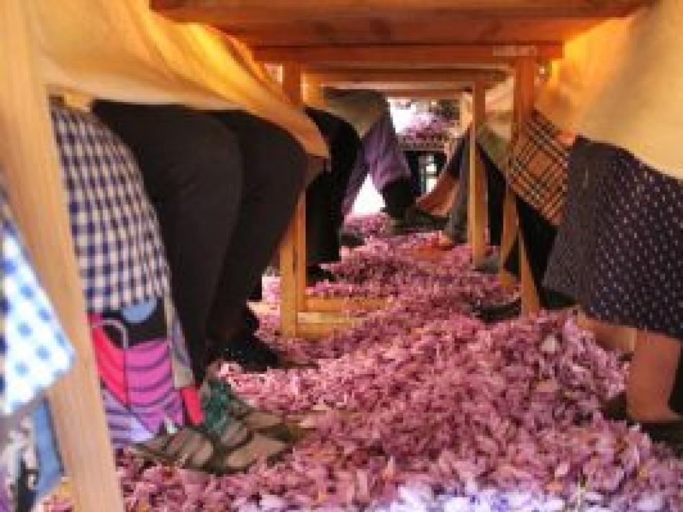 Imagen ganadora a la mejor fotografía tradicional del certamen de 2018.