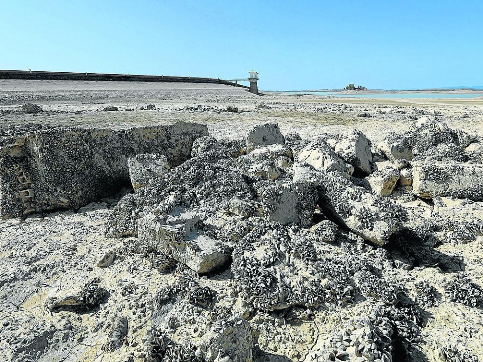 Esta imagen presentaba el embalse de La Sotonera hace unos días.
