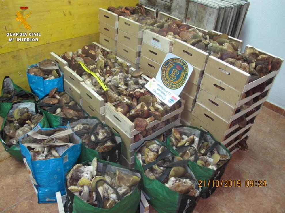 Mercancía hallada en el interior de la furgoneta