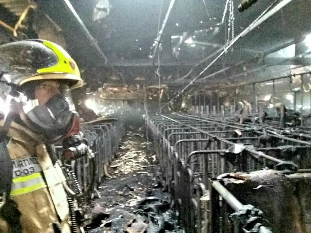 Un incendio destruye parte de una granja de cerdos en Tarazona.
