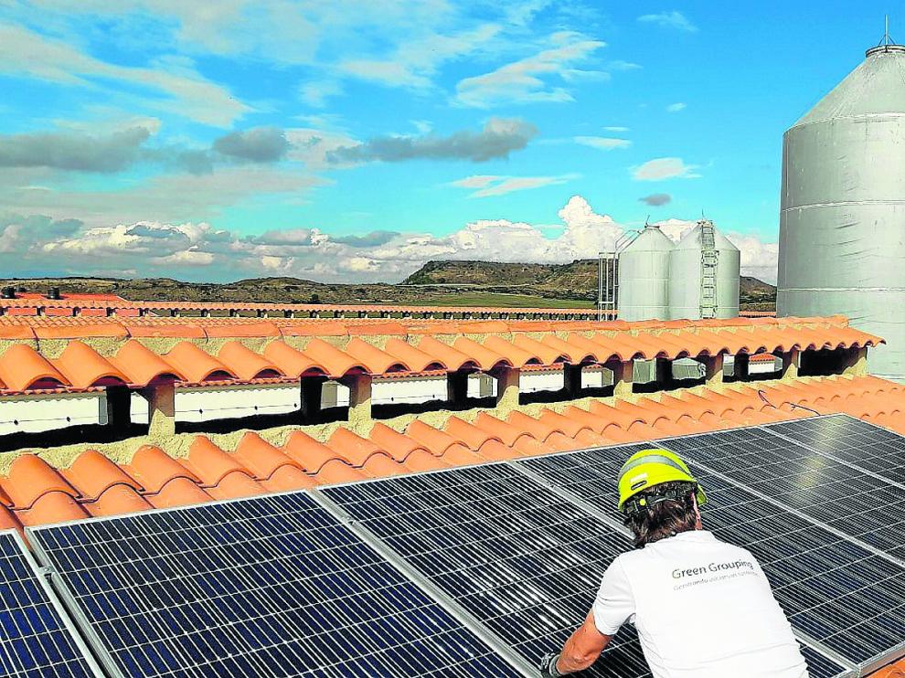 Un trabajador de Greengrouping instala paneles solares en el techo de una explotación ganadera aragonesa.