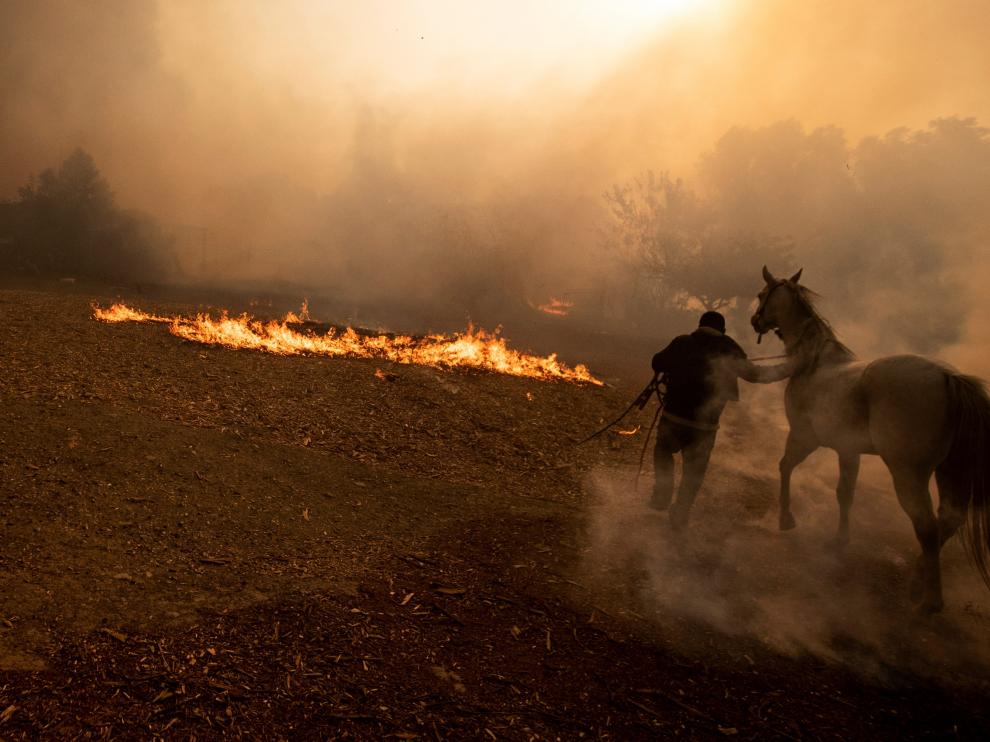 Simi Valley (United States), 30/10/2019.- Ranchers evacuate horses from a burning ranch as the Easy Fire spreads near Simi Valley, North of Los Angeles, California, USA, 30 October 2019. (Incendio, Estados Unidos) EFE/EPA/ETIENNE LAURENT Easy Fire in Simi Valley