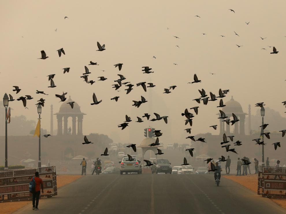 Una bandada de pájaros sobrevuela Nueva Delhi en un día en que la contaminación es visible.